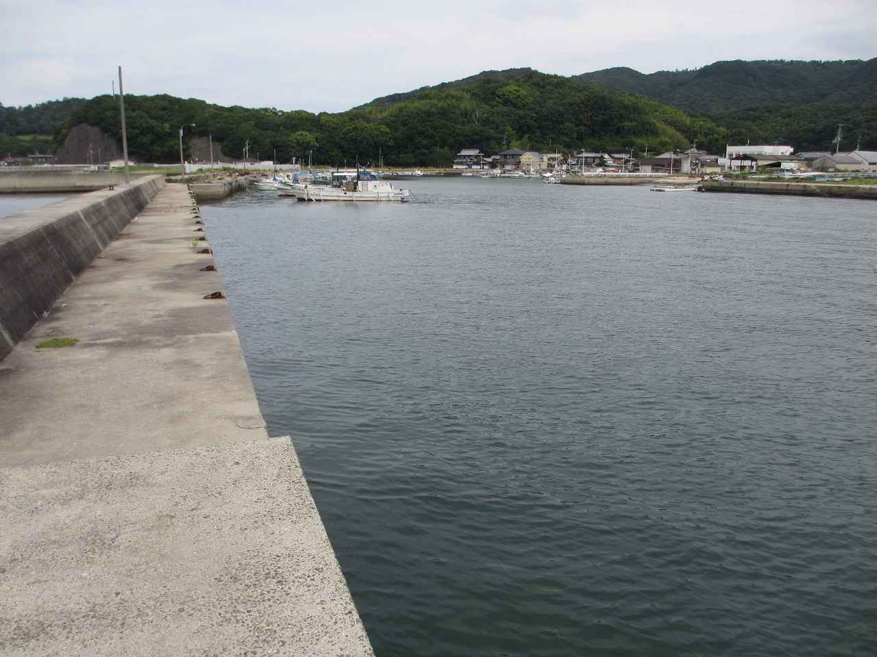 香川県,海釣り,ポイント,小田浦漁港